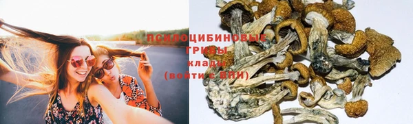 альфа пвп Ладушкин