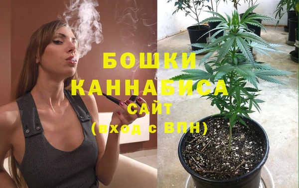 PSILOCYBIN Кукмор