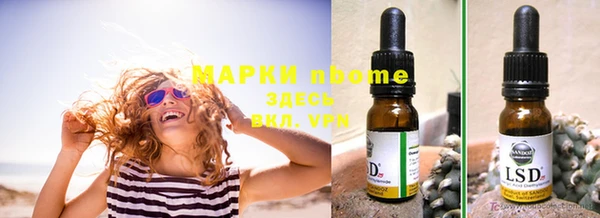PSILOCYBIN Кукмор