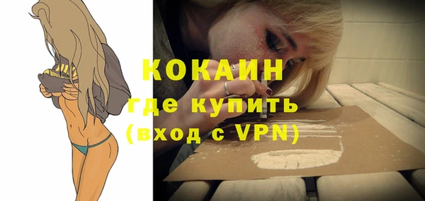 стафф Алзамай