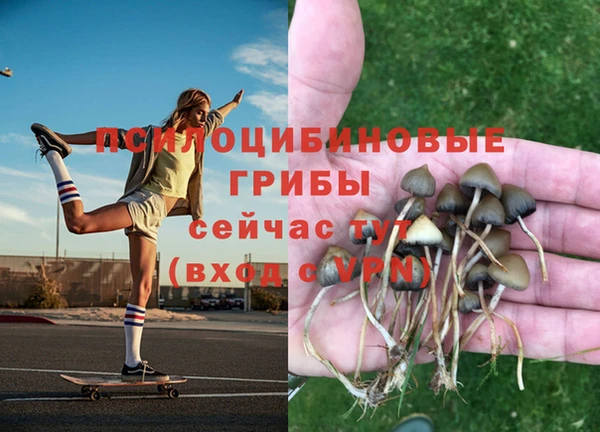 PSILOCYBIN Кукмор
