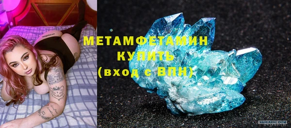 прущие грибы Лабытнанги