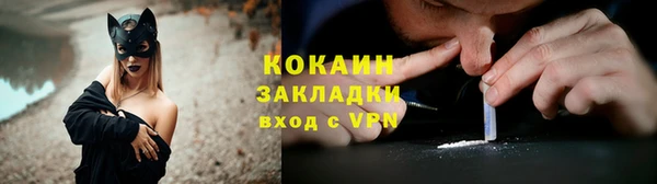 прущие грибы Лабытнанги
