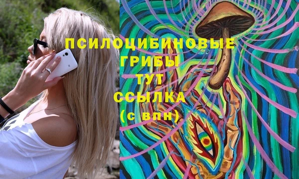 соль ск Апатиты