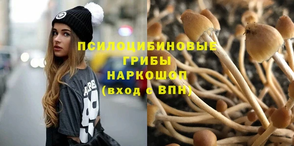 спиды Семикаракорск