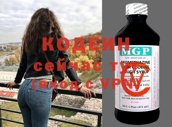 прущие грибы Лабытнанги