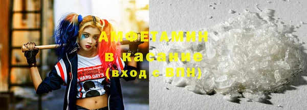 прущие грибы Лабытнанги