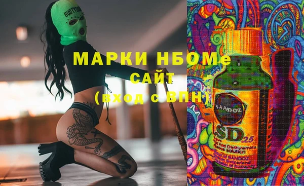 прущие грибы Лабытнанги